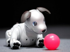 百度推出AI宠物产品“哎呦宠物”！